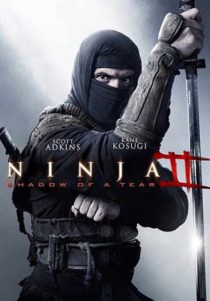 Ninja 2: Shadow of a Tear