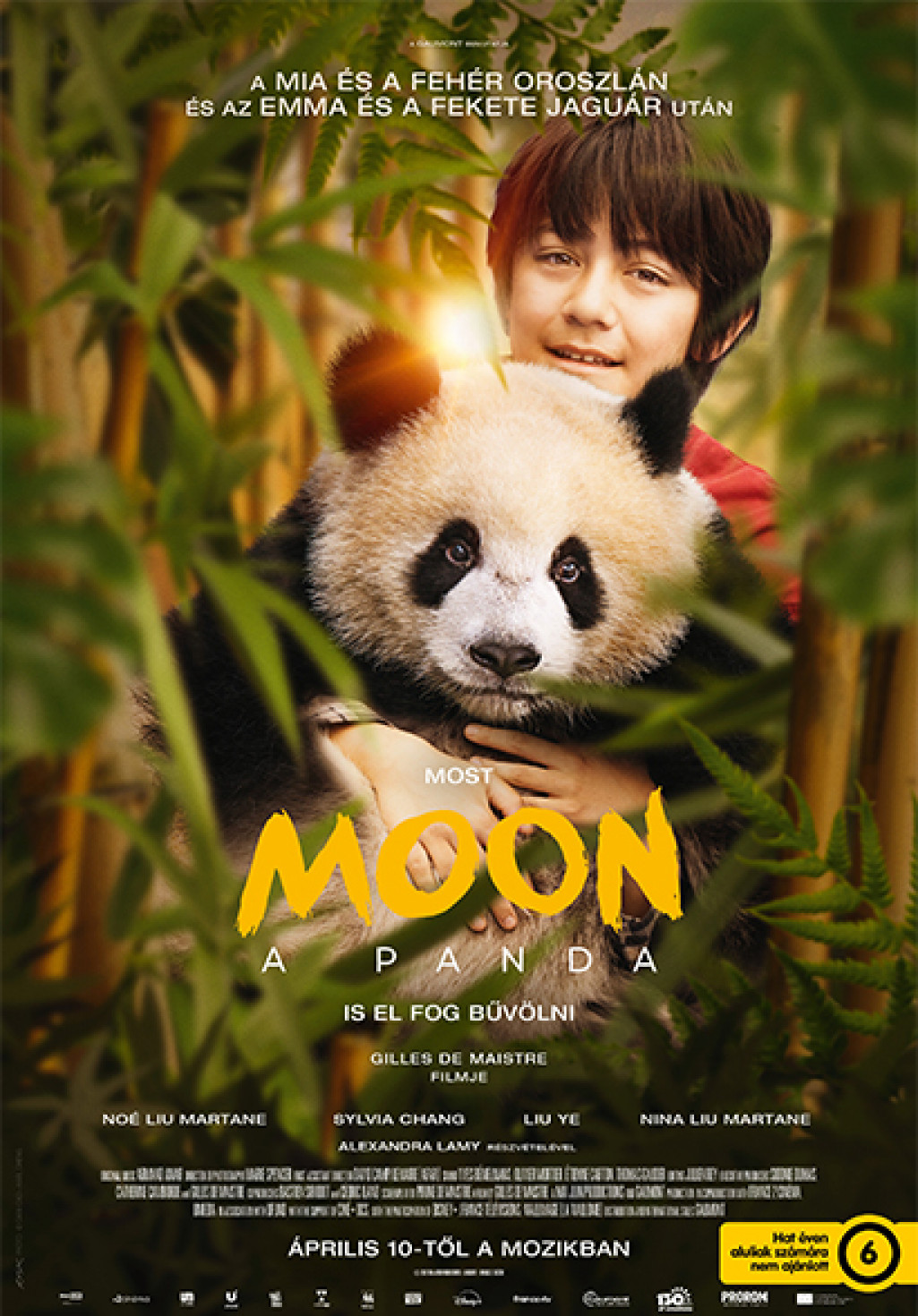 Moon a panda