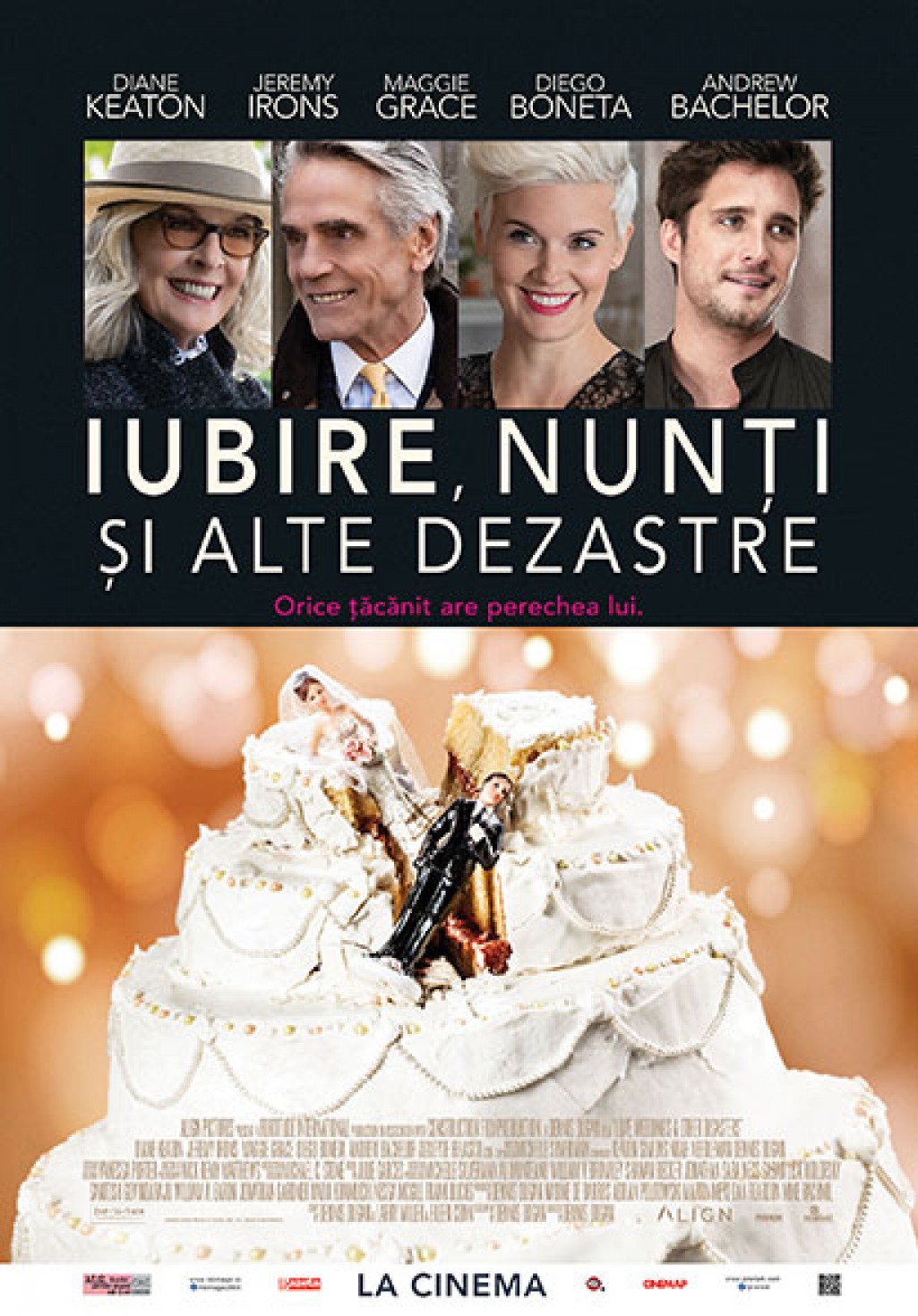 Iubire, nunti si alte dezastre